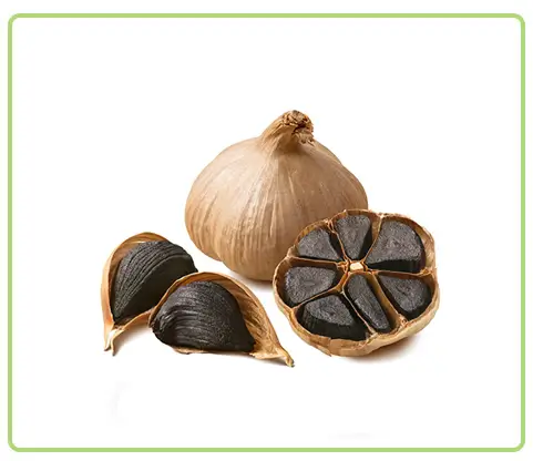 سیر سیاه ممتاز پروبیوتیک — تصویر ۲