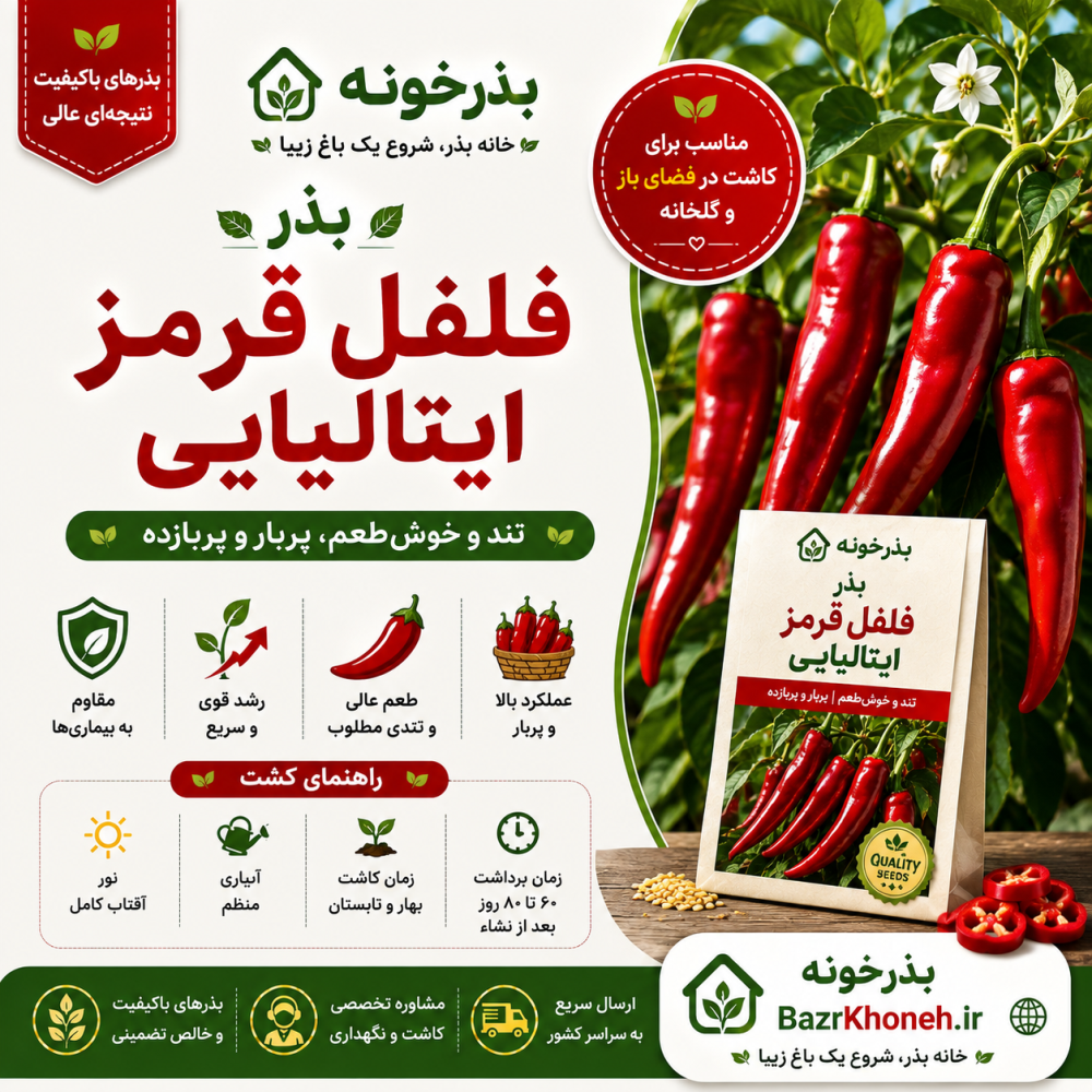 بذر فلفل قرمز ایتالیایی — تصویر ۳