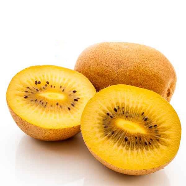 بذر کیوی سرخ ( پرورش خانگی ) — تصویر ۲