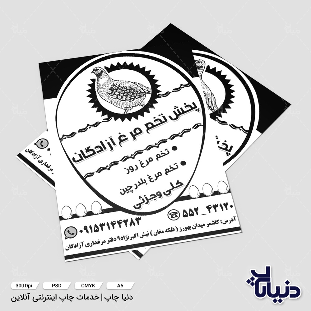تراکت پخش تخم مرغ آزادگان