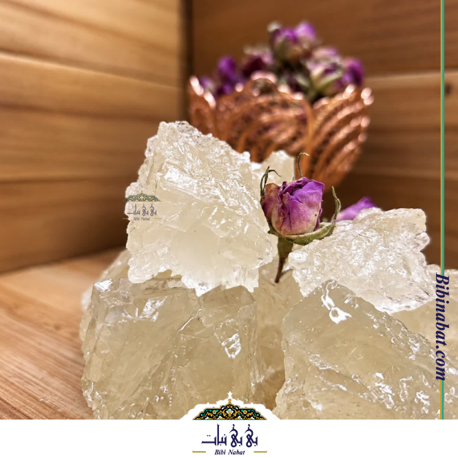 لقمه نبات ساده درجه یک — تصویر ۲