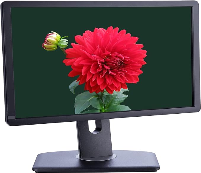 مانیتور dell p1913t