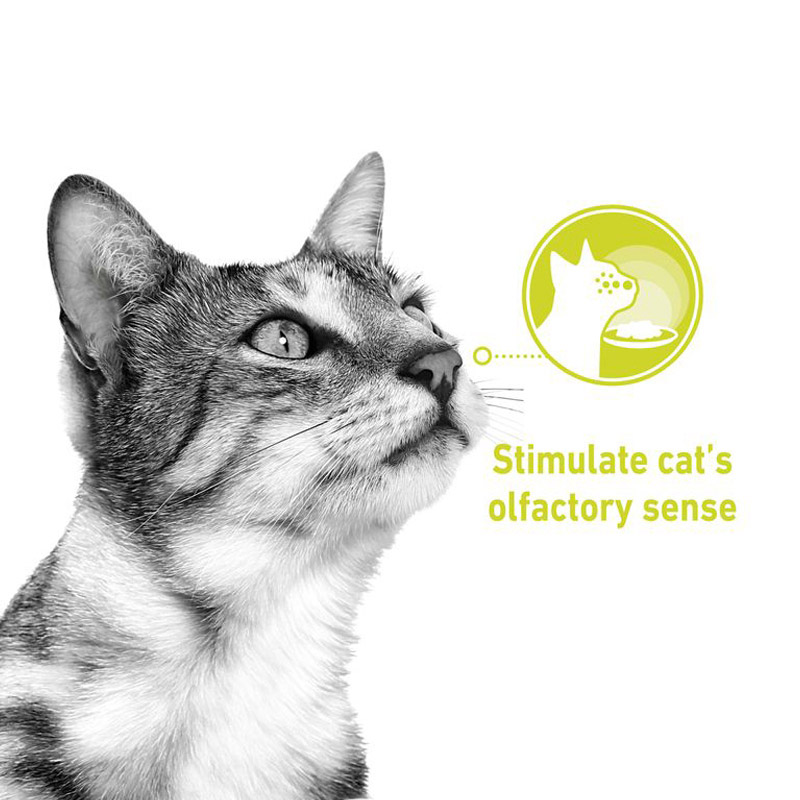 پوچ گربه حساس به بو رویال کنین Royal Canin Sensory Smell In Gravy وزن 85 گرم — تصویر ۴