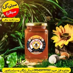 عسل زیرفون جنگلی خام طبیعی 1کیلویی سبلان(مستقیم اززنبوردار) — تصویر ۳