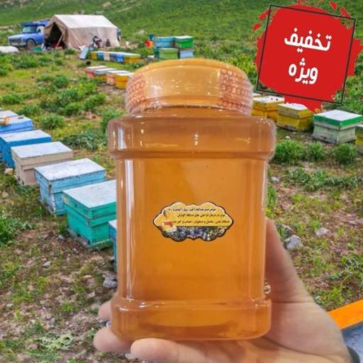 عسل چهل گیاه سفارشی2کیلویی ممتاز فریدن(ارسال رایگان به شهرستان فریدن)