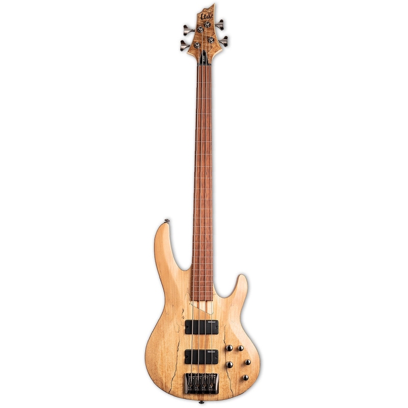 ESP LTD B-204 Spalted Maple Fretless NS — تصویر ۲