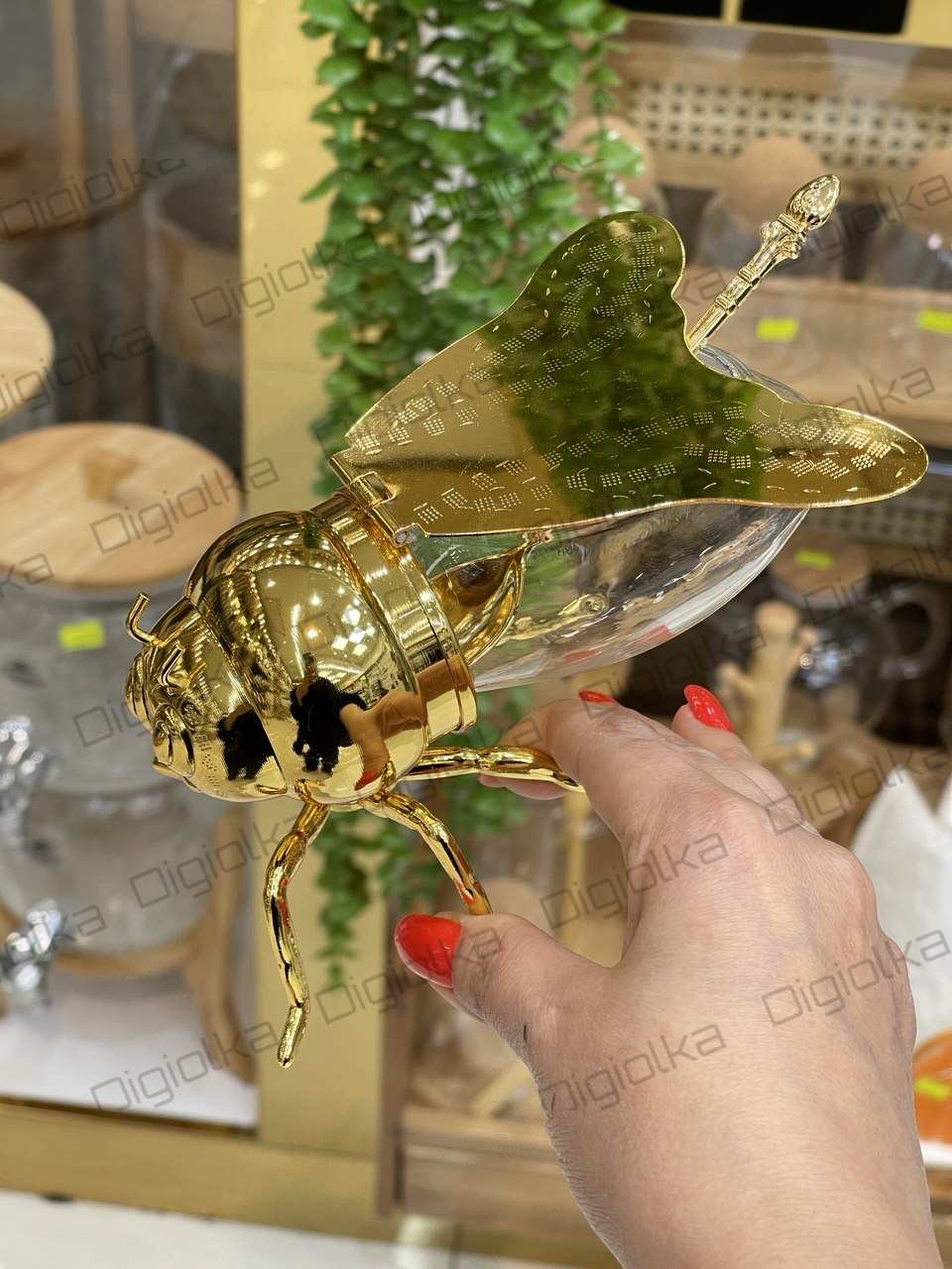 عسل خوری زنبور وارداتی