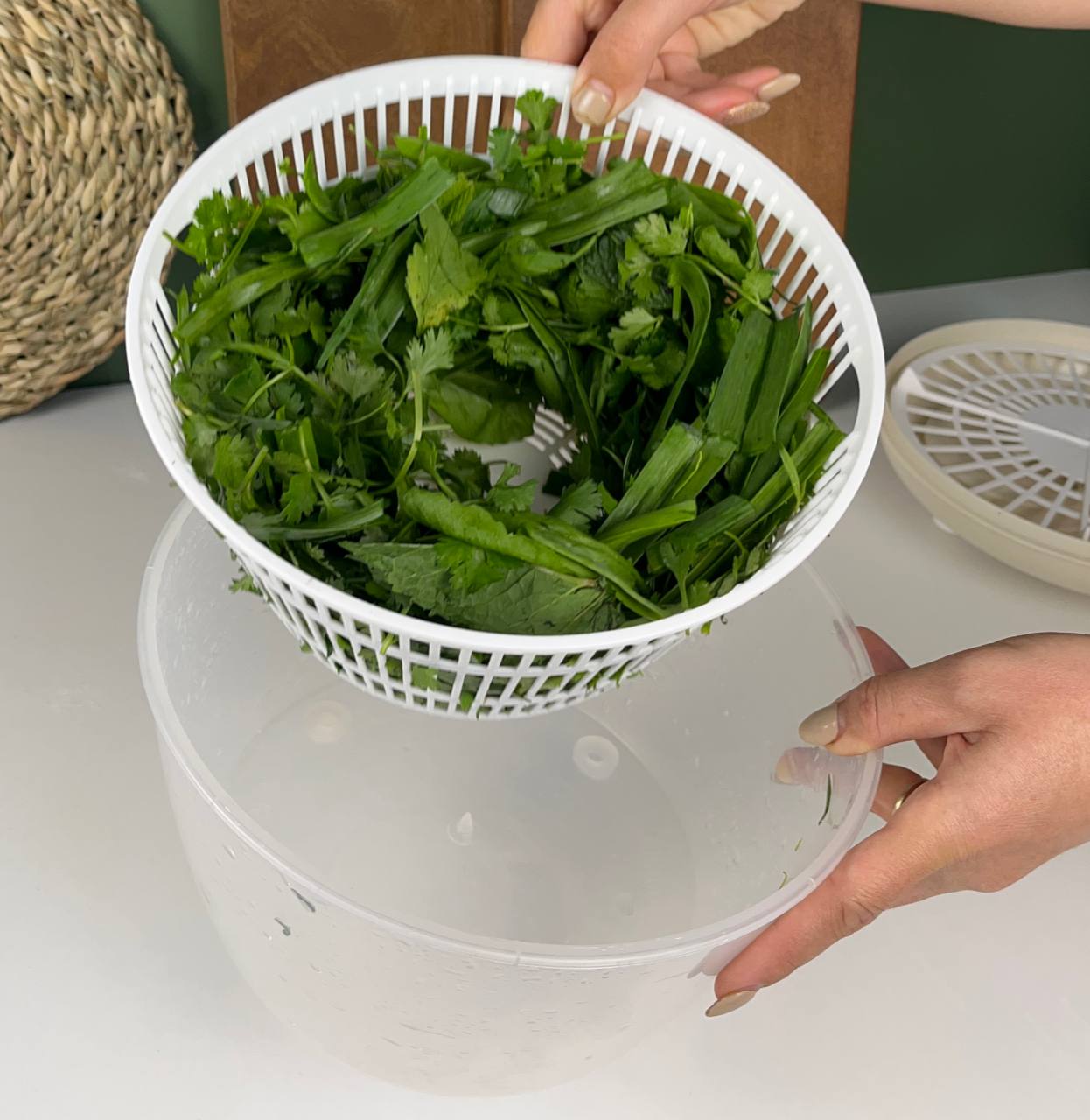 آبگیر سبزی جات (سبزی خشک کن ) — تصویر ۳