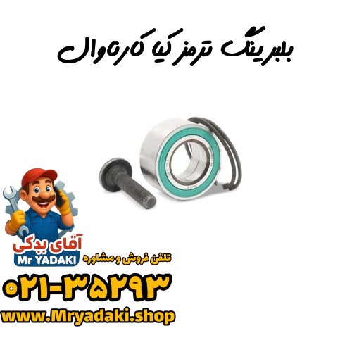بلبرینگ ترمز کیا کارناوال