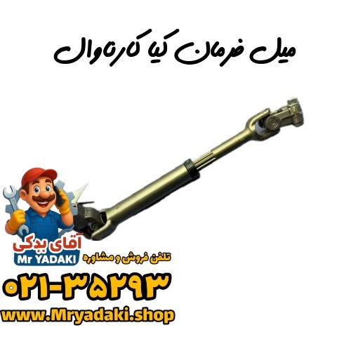 میل فرمان کیا کارناوال
