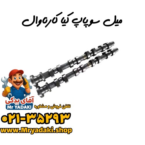 میل سوپاپ کیا کارناوال — تصویر ۲