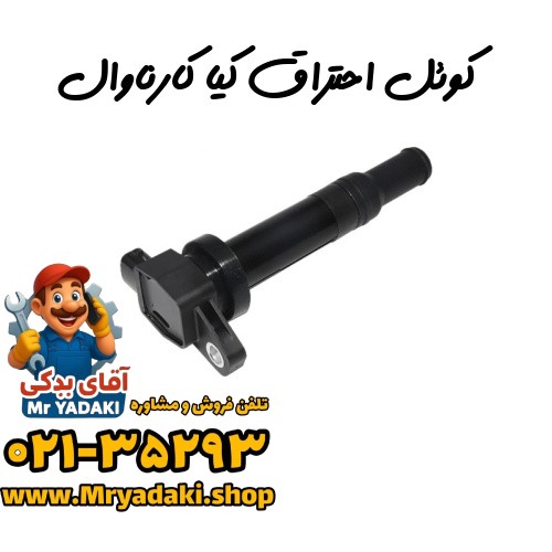 کوئل احتراق کیا کارناوال