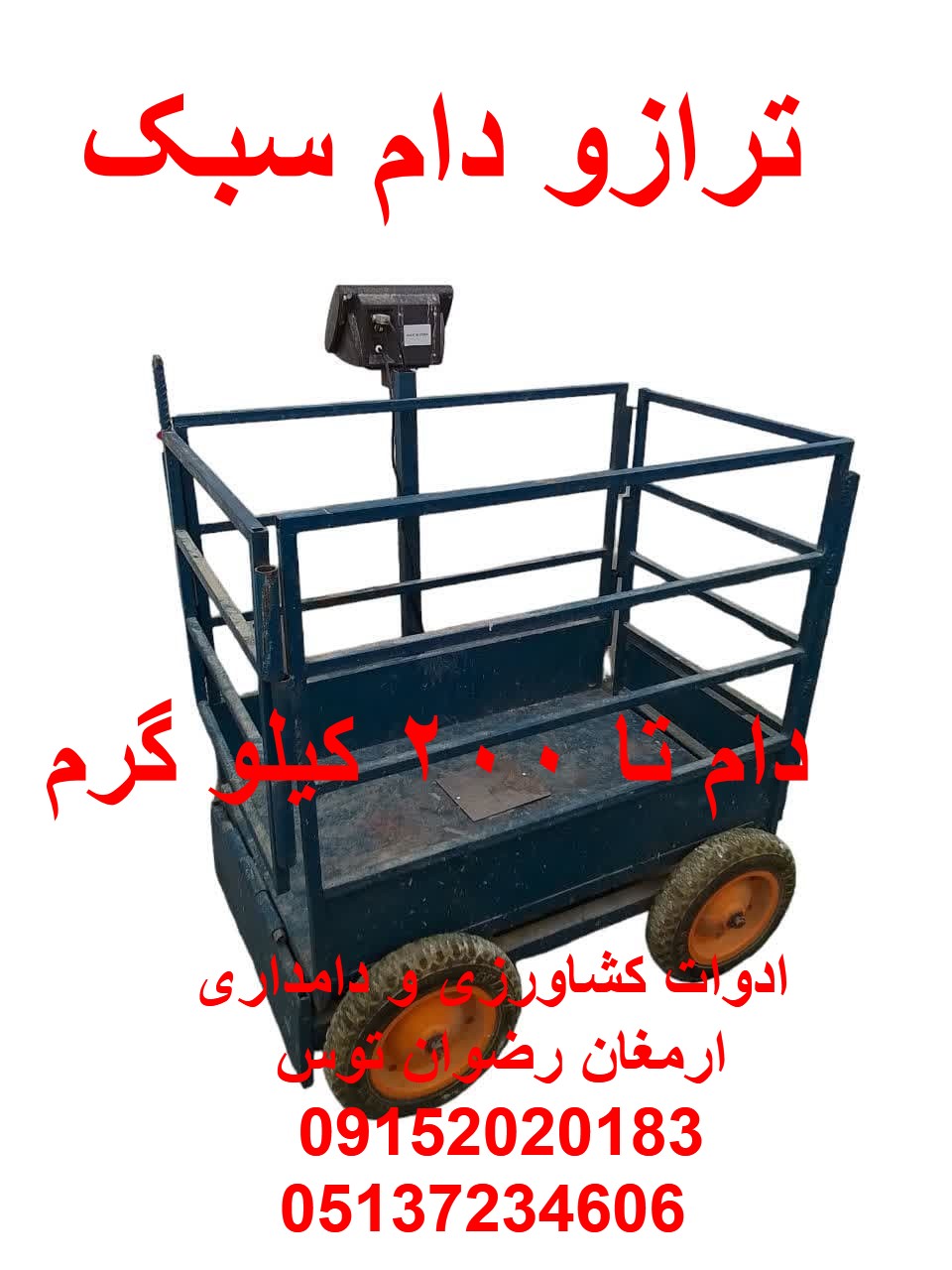 ترازو دام سبک گوسفند — تصویر ۲