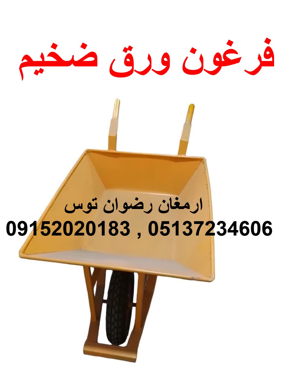 فرغون ورق ضخیم — تصویر ۲