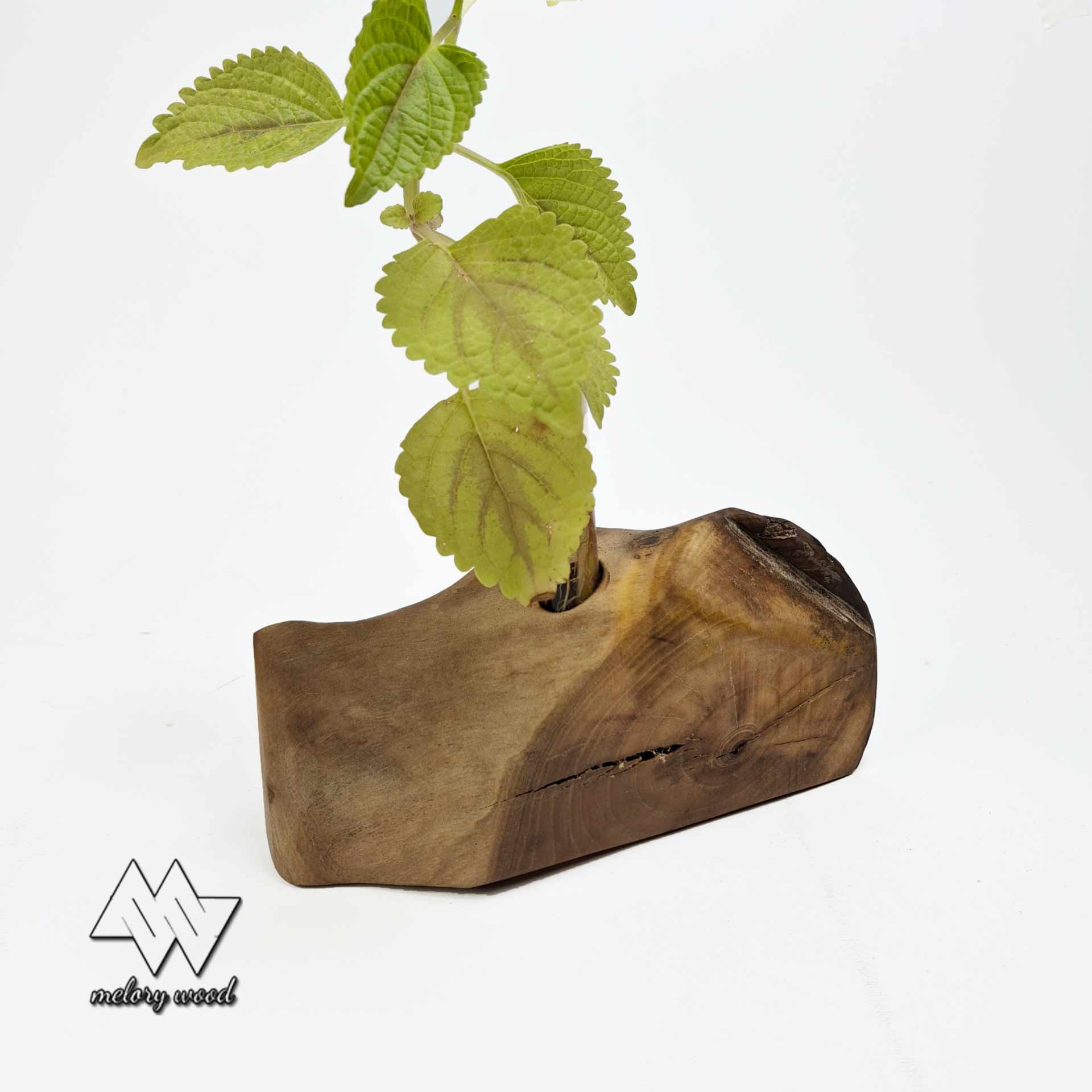 گلدان چوبی دکوراتیو — تصویر ۳