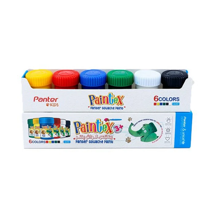 گواش نانو پوشرنگ پنتر ۶ رنگ یونیسف مدل Paintex