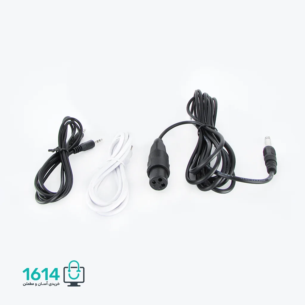 اسپیکر چمدانی هویت مدل SF100 BT — تصویر ۴