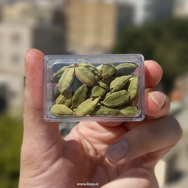 هل سبز لیاگل – 5 گرم — تصویر ۳