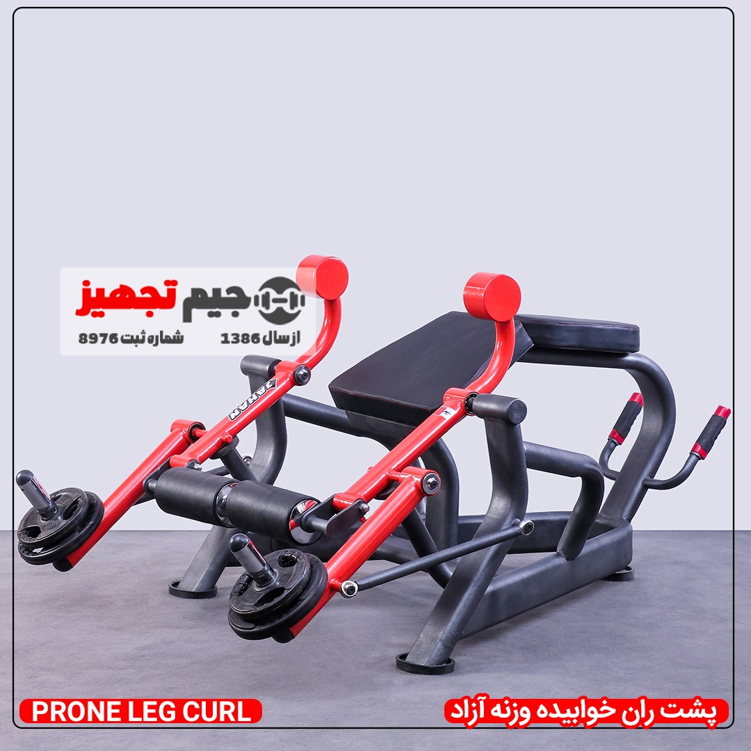 پشت ران خوابیده وزنه آزاد
