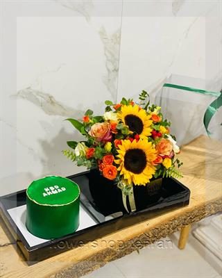 سفارش آسان قیمت گیاه سانسوریا پاکوتاه فقط با چند کلیک — تصویر ۲
