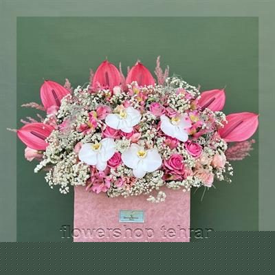 گل ارکیده طبیعی مناسب شرکتها، مطبها و فضاهای اداری
