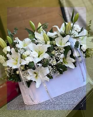 گلدان دیش گاردن برای خوشحال کردن عزیزانت در هر مناسبتی — تصویر ۲