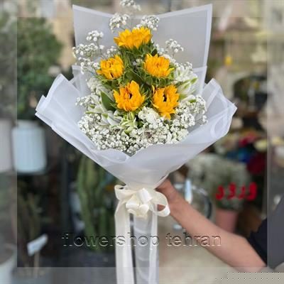 گلدان مخصوص سانسوریا؛ انتخابی مطمئن برای هر سن و سلیقه