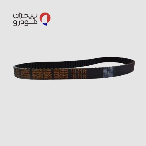 تسمه تایم دانگیل ساینا — تصویر ۴