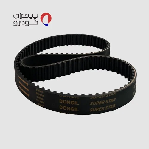 تسمه تایم دانگیل کوییک — تصویر ۵