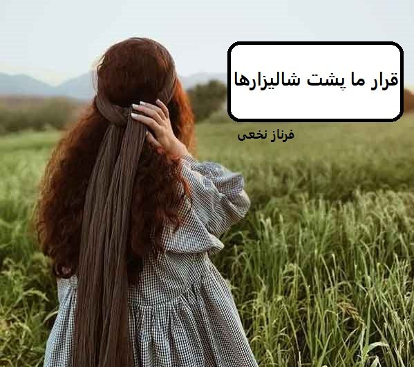 رمان قرار ما پشت شالیزارها | دانلود | کتاب خوان — تصویر ۲