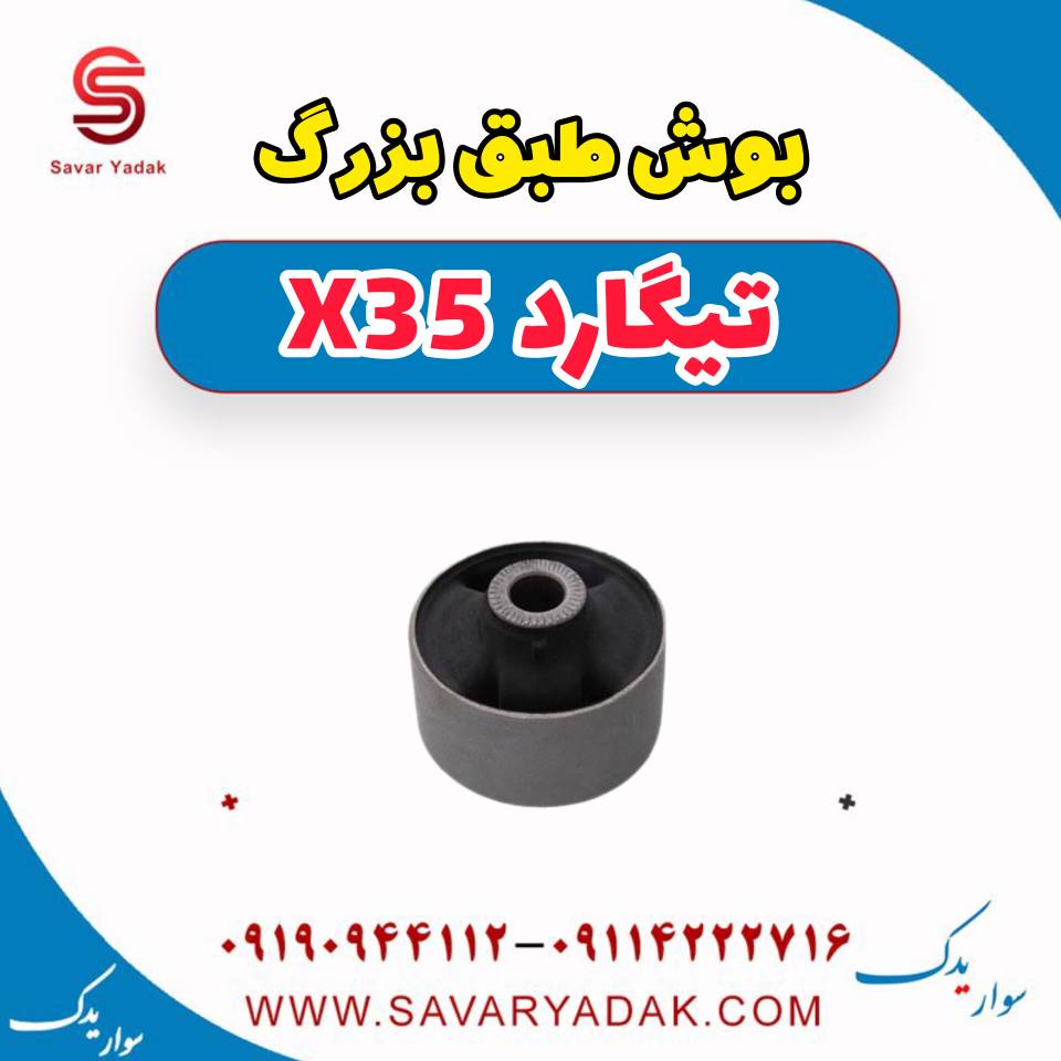 بوش طبق بزرگ تیگارد x35 — تصویر ۲