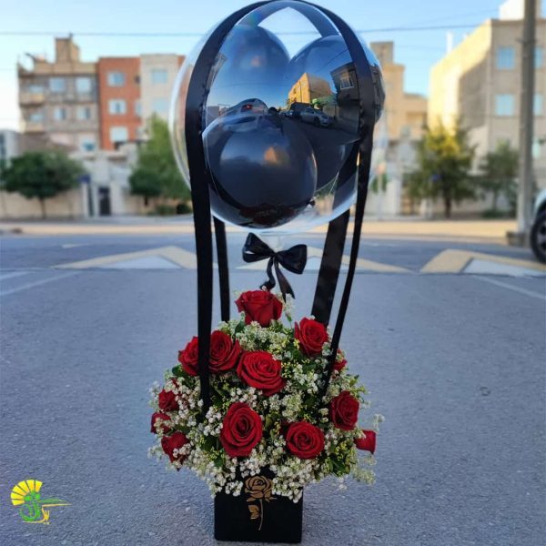 بوبوبالن سورنا — تصویر ۴
