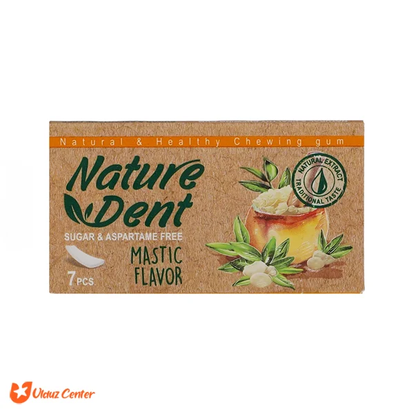 آدامس بدون شکر Nature Dent با طعم ماستیک 7 عددی