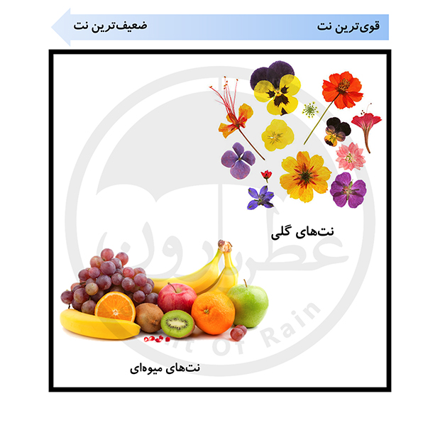 دئورولان زنانه شون هون فلاور حجم 50 میلی‌لیتر — تصویر ۳
