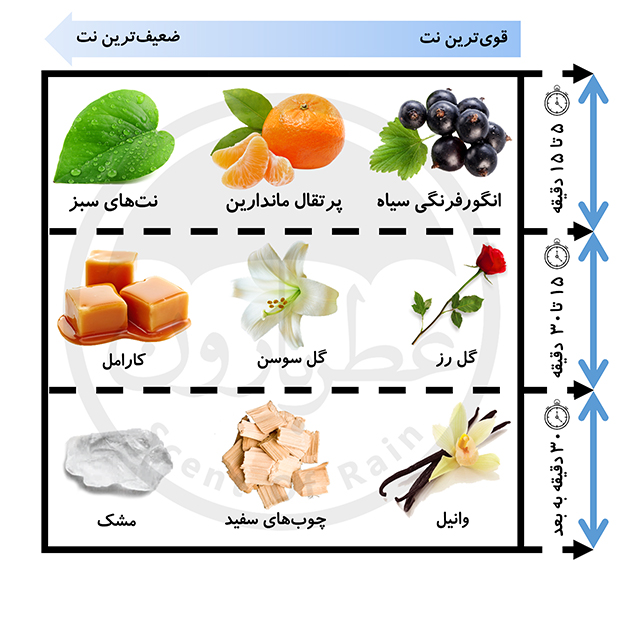 عطر بدن زنانه شون پیور جوی حجم 220 میلی‌لیتر — تصویر ۳