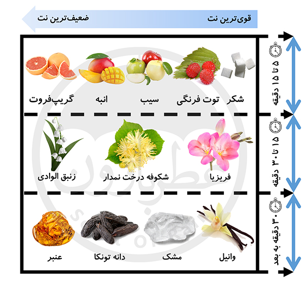 عطر بدن زنانه عمادآرا جنسیس رزگلد حجم 250 میلی‌لیتر — تصویر ۳
