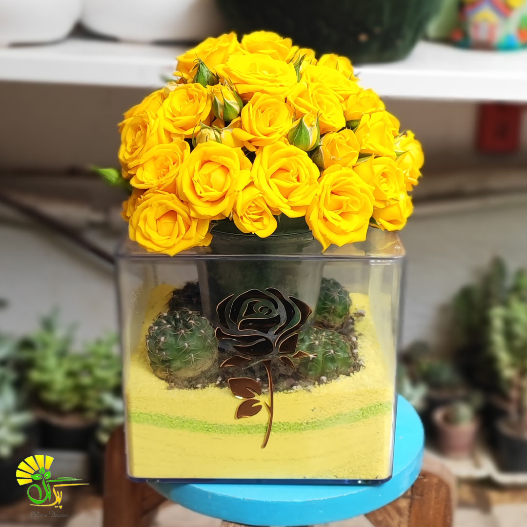 باکس گل تمیس — تصویر ۳