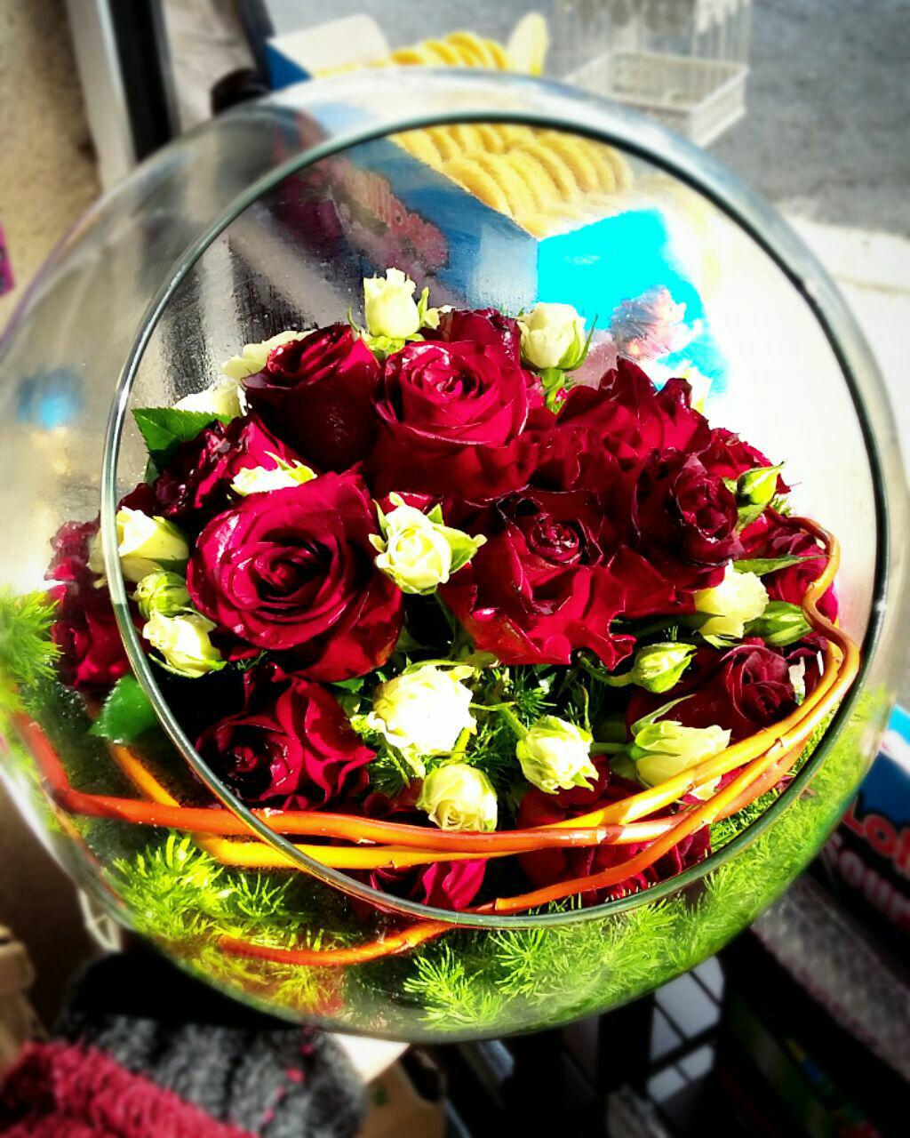 تراریوم گل رز