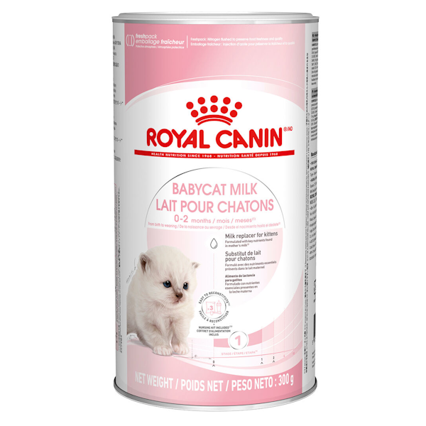 شیر خشک اورجینال بچه گربه رویال کنین Royal Canin Baby Milk وزن 300 گرم اورجینال