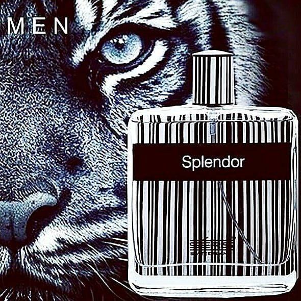 عطر ادکلن اسپلندور بلک-مشکی اصل | Splendor Black 100 ml