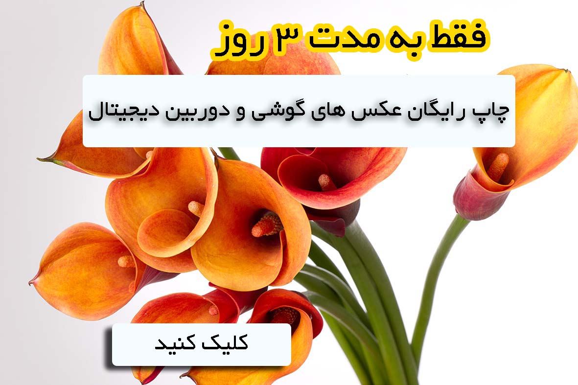 تابلو دکوراتیو طرح گل نارنجی — تصویر ۴