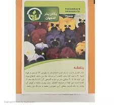 بذر بنفشه