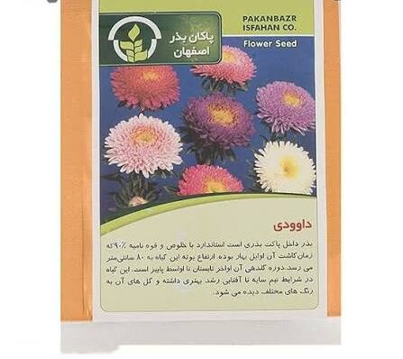 بذر داوودی