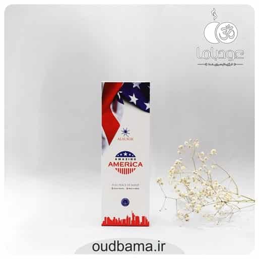 عود دستساز آمریکای شگفت انگیز آمیزینگ امریکا AMAZING AMERICA ( آلوکیک ALAUKIK ) — تصویر ۲