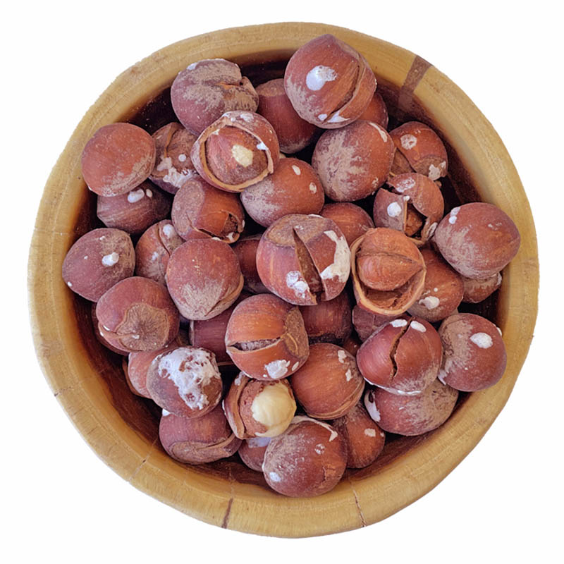فندق نمکی