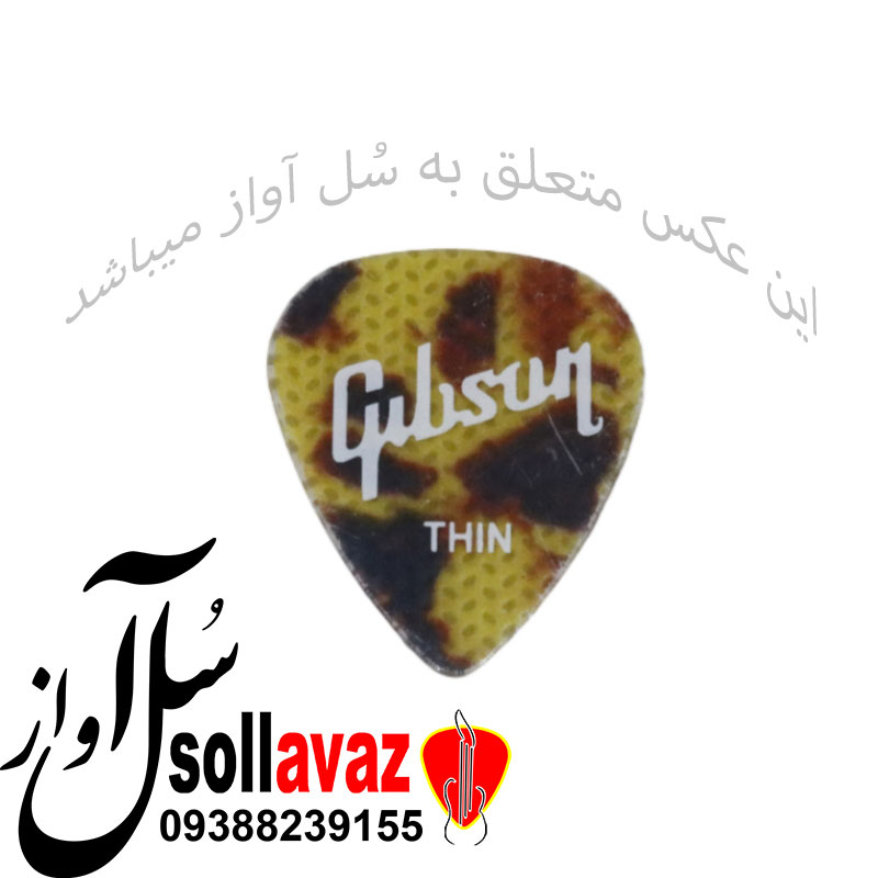 پیک گیتار گیپسون — تصویر ۲