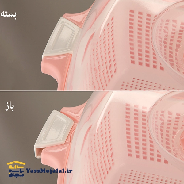 جانانی متوسط لیمون — تصویر ۵