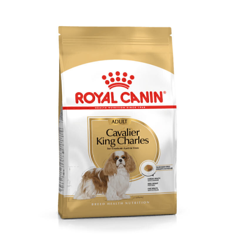 غذای خشک سگ رویال کنین مدل کاوالیر کینگ وزن 1.5 کیلوگرم | Royal Canin Cavalier King Charles Adult