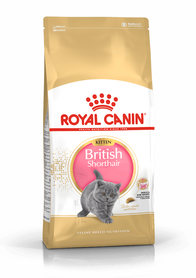 غذای خشک گربه کیتن بریتیش رویال کنین وزن 2 کیلوگرم | Royal Canin british kitten 2kg