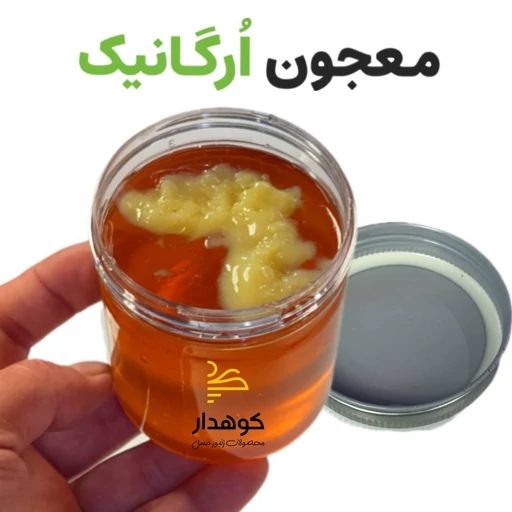 معجون ارگانیک ژل رویال 350 گرمی (حاوی 10 گرم ژل رویال + عسل گزانگبین) — تصویر ۴
